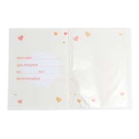 Папка для свидетельства о рождении &laquo;Медвежонок&raquo;, 23,5 х 31,5 см.