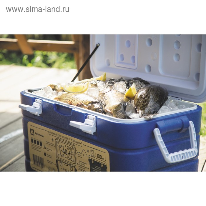 Термоконтейнер Термоконтейнер "Арктика" 8 л, 38 х 24.5 х 22 см, синий