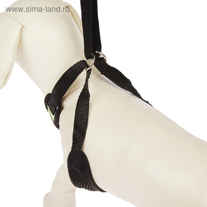 Шлейка регулируемая дышащая, светоотражающая, размер L, (ОГ 44-64 см, ОШ 40-60 см), чёрная