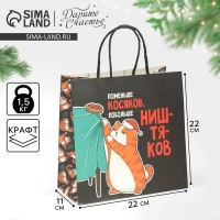 Пакет подарочный новогодний &laquo;Косяки наше всё&raquo;, 22 х 22 х 11 см, Новый год