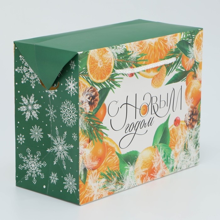 Пакет&mdash;коробка &laquo;Снежная история&raquo;, 23 х 18 х 11 см