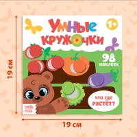 Книга с наклейками «Умные кружочки. Что, где растёт?», 12 стр. Книга с наклейками «Умные кружочки. Что, где растёт?», 12 стр.