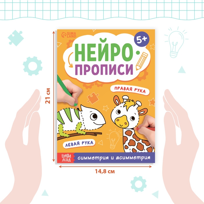 Книга &laquo;Нейропрописи. Симметрия и асимметрия&raquo;, 24 стр., от 5 лет