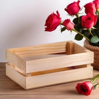 Кашпо деревянное 24.5×13.5×9 см "Двушка Лайт", двухреечное, натуральный Дарим Красиво Кашпо деревянное 24.5×13.5×9 см "Двушка Лайт", двухреечное, натуральный Дарим Красиво