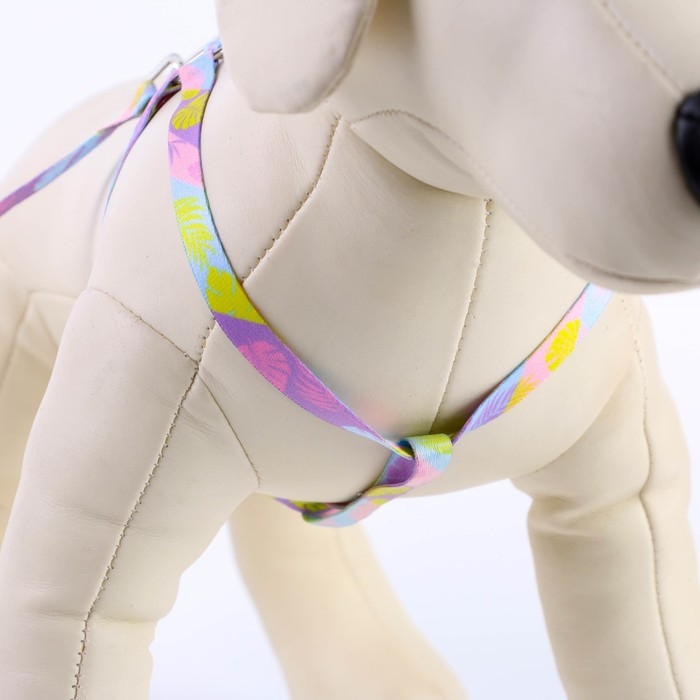 Комплект &laquo;Листья&raquo;, шлейка 24-36 см, поводок 120х1 см