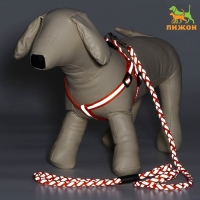 Комплект "Плетенка", флуоресцентный, поводок 115 х 1 см, ОГ 32-48 х 1,5 см, оранжевый