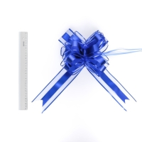 Бант-шар №6.5