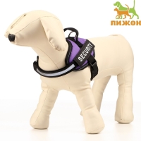 Шлейка К9 мягкая светоотражающая, размер ХS, ОГ 38-50 см, вес 3-6 кг, фиолетовая Шлейка К9 мягкая светоотражающая, размер ХS, ОГ 38-50 см, вес 3-6 кг, фиолетовая