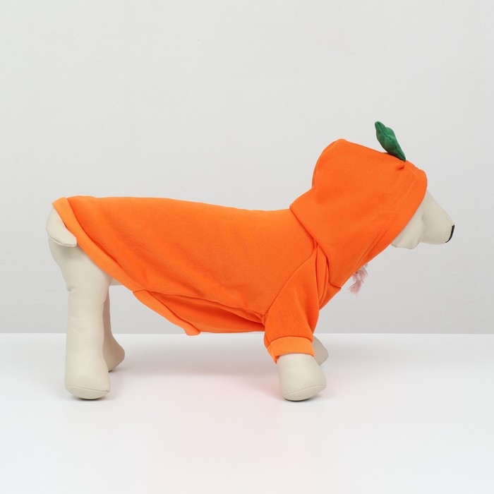 Толстовка "Любимая морковка", размер S (ДС 25, ОГ 38см)