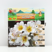 Лилии Трубчатые смотрящие вверх White Planet, луковица в пакете с перфорацией, р-р 12/14, 2 шт.