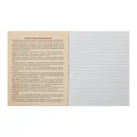 Тетрадь предметная 48 листов в линейку Calligrata, &laquo;Литература&raquo;, обложка мелованный картон