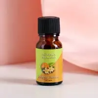 Эфирное масло &laquo;Цитрус и ваниль&raquo;, 10 мл, &laquo;Богатство Аромата&raquo;