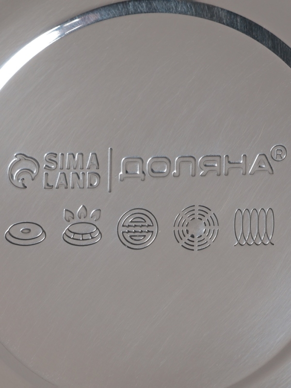 Чайник со свистком из нержавеющей стали Доляна &laquo;Квант&raquo;, 2,8 л, фиксированная ручка soft-touch, цвет хромированный