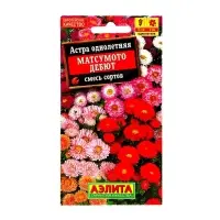 Семена   Астра Матсумото Дебют, смесь окрасок , 0,2г