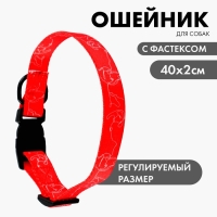Ошейник One line, застёжка - фастекс, 2 см 25-40 см