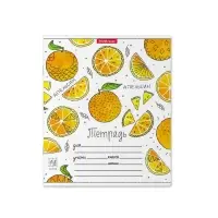 Тетрадь 18 листов в клетку ErichKrause &laquo;Яркие дольки&raquo;, обложка мелованный картон, МИКС