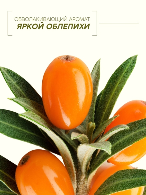 Шампунь для волос, витаминный эликсир, аромат облепихи, 400 мл, Рябина