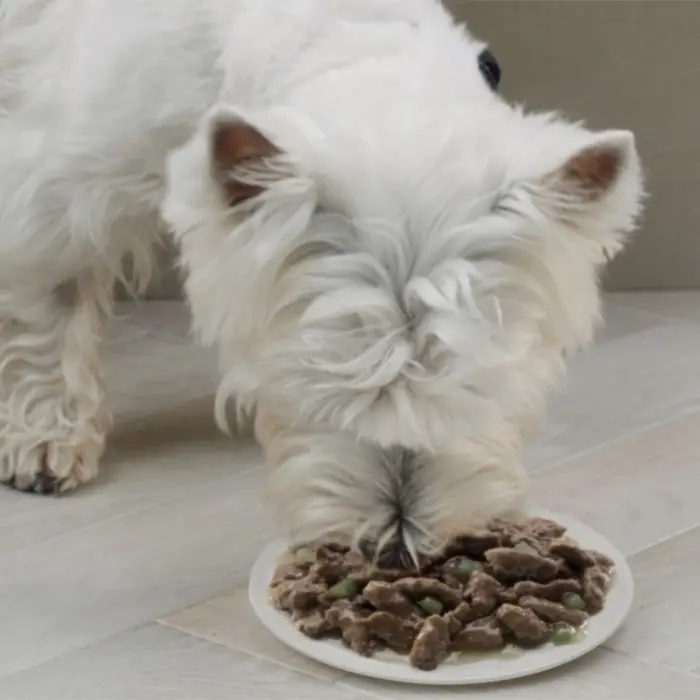 Влажный корм Cesar для собак, говядина с овощами, пауч, 85 г