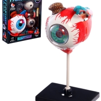 ЭВРИКИ Набор для опытов "Строение глаза", анатомическая модель ЭВРИКИ Набор для опытов "Строение глаза", анатомическая модель