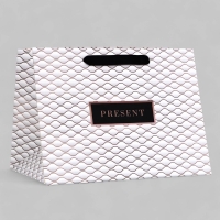 Пакет подарочный ламинированный с широким дном,"Текстура", 25 &times; 19 &times; 18 см