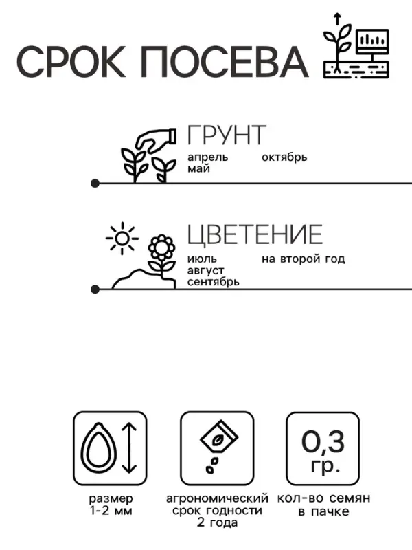 Семена Цветов Нивяник "Солнечные лучики", 0,3 г