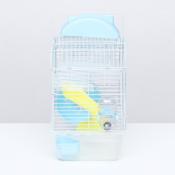 Клетка для грызунов Клетка для грызунов "Пижон", 23 х 17 х 33 см, прозрачная, голубое наполнение