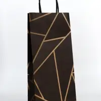 Пакет крафт под бутылку &laquo;Геометрия&raquo;, 14&times;8&times;32 см