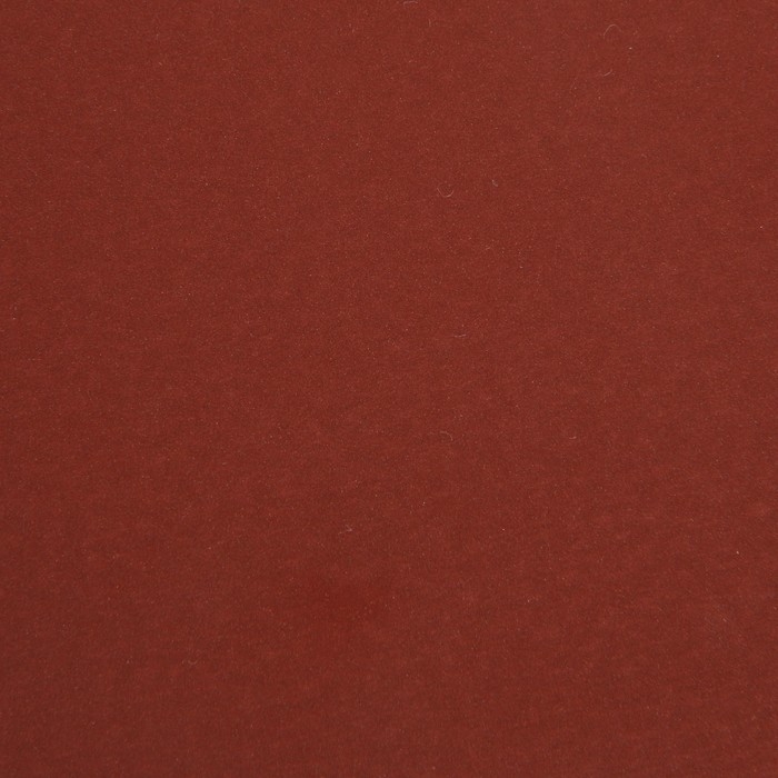 Круг абразивный шлифовальный под Круг абразивный шлифовальный под "липучку" ТУНДРА, 150 мм, Р1500, 5 шт.