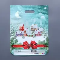 Пакет &laquo;Снежный город&raquo;, полиэтиленовый с вырубной ручкой, 40&times;31 см