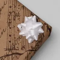 Бант - звезда №3.5, фасовка 8 шт., МИКС