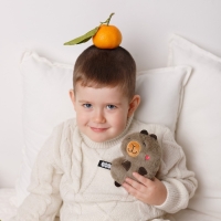 Мягкая игрушка "Капибара Барбара", 15 см 947 Мягкая игрушка "Капибара Барбара", 15 см 947