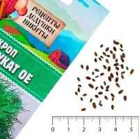 Семена Укроп &laquo;Супердукат ОЕ&raquo;, 2 г