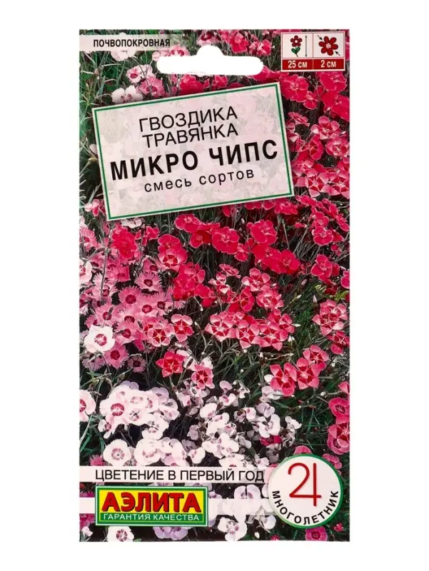 Семена цветов Гвоздика Микро чипс многолетняя, смесь сортов Мн Многолетники., Ц/П,0,05 г