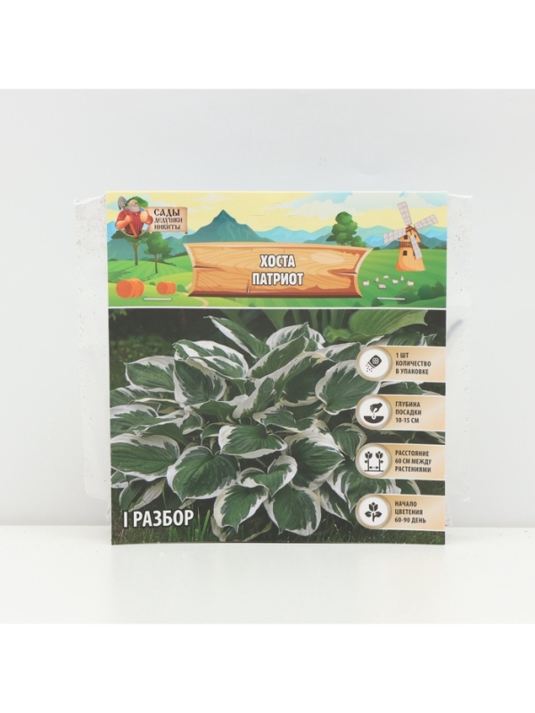 Хоста &laquo;Патриот&raquo;, корневище в пакете с торфогрунтом, р-р I, 1 шт.