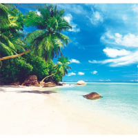 Фотообои К-120 &laquo;Райский уголок&raquo; (6 листов), 210 &times; 200 см