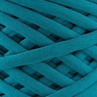 Трикотажная пряжа, ширина 7-9 мм, 100м/295 гр&plusmn;10% (27 - морская волна)