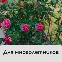 Чехол для растений, трапеция на шнурках, 75 &times; 70 см, спанбонд с УФ-стабилизатором, плотность 60 г/м&sup2;
