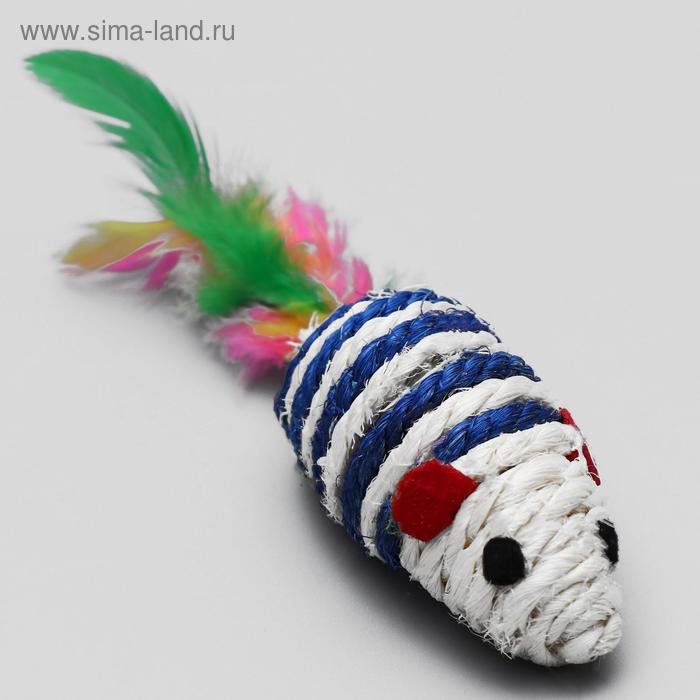 Набор игрушек для кошек: мышь и шарики из сизаля и пластика, микс цветов Набор игрушек для кошек: мышь и шарики из сизаля и пластика, микс цветов