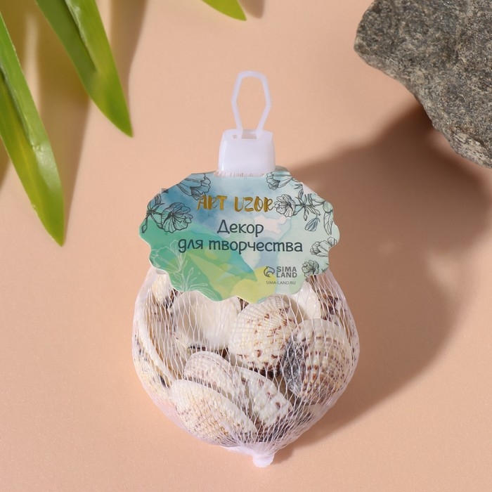 Ракушки природные декоративные "Венус тигровая" набор 100 гр