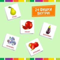 Лото &laquo;Растительный мир&raquo; по методике Г. Домана, 1-4 игрока, 3+