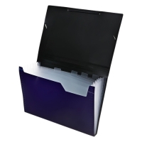Папка картотека А4, Calligrata TOP DeLuxe, 6 отделений, пластиковая, 1000 мкм, черничная Папка картотека А4, Calligrata TOP DeLuxe, 6 отделений, пластиковая, 1000 мкм, черничная