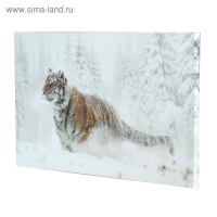 Картина на холсте "Тигр в снегу" 60*100 см
