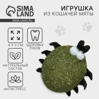 Игрушка для кошек &laquo;Жучок&raquo; из кошачьей мяты, 4 х 3.5 см