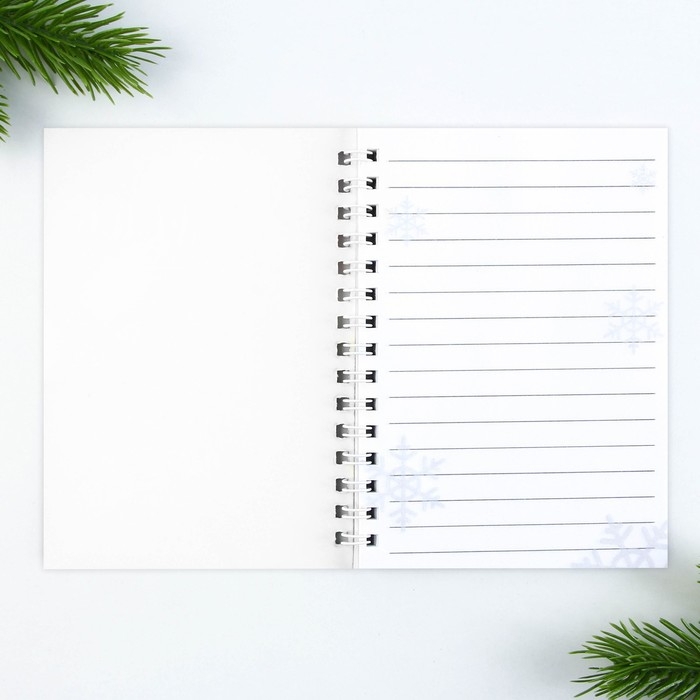 Подарочный набор новогодний, блокнот на спирали А6, 60листов и магнитные закладки 2 шт. «Для девочек» Подарочный набор новогодний, блокнот на спирали А6, 60листов и магнитные закладки 2 шт. «Для девочек»