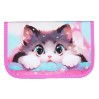 Пенал 1 секция, 130 х 210 х 40 мм, 2 откидные планки, тканевый, Calligrata TOP, Content "Котик корея" Пенал 1 секция, 130 х 210 х 40 мм, 2 откидные планки, тканевый, Calligrata TOP, Content "Котик корея"