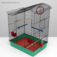 Клетка для попугая "Фиона", 4 яруса, 48 х 38 х 65 см, микс цветов Клетка для попугая "Фиона", 4 яруса, 48 х 38 х 65 см, микс цветов