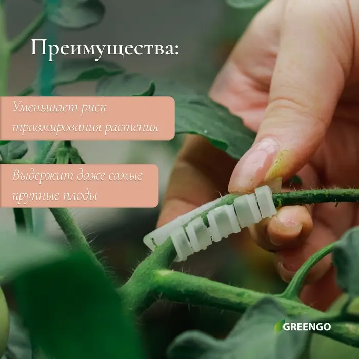 Кистедержатель &laquo;Улитка&raquo;, 3.5 см, набор 50 шт., Greengo