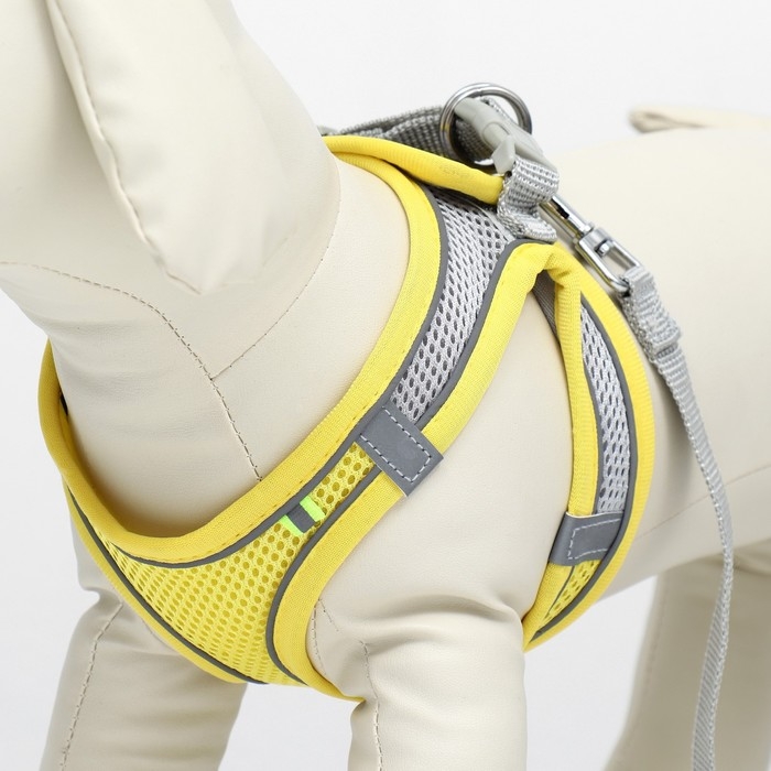 Комплект с мягкой шлейкой, быстросъемный, XS, поводок 150 х 1,5 см, ОШ 29-32 см, ОГ 31-34 см, жёлтый Комплект с мягкой шлейкой, быстросъемный, XS, поводок 150 х 1,5 см, ОШ 29-32 см, ОГ 31-34 см, жёлтый