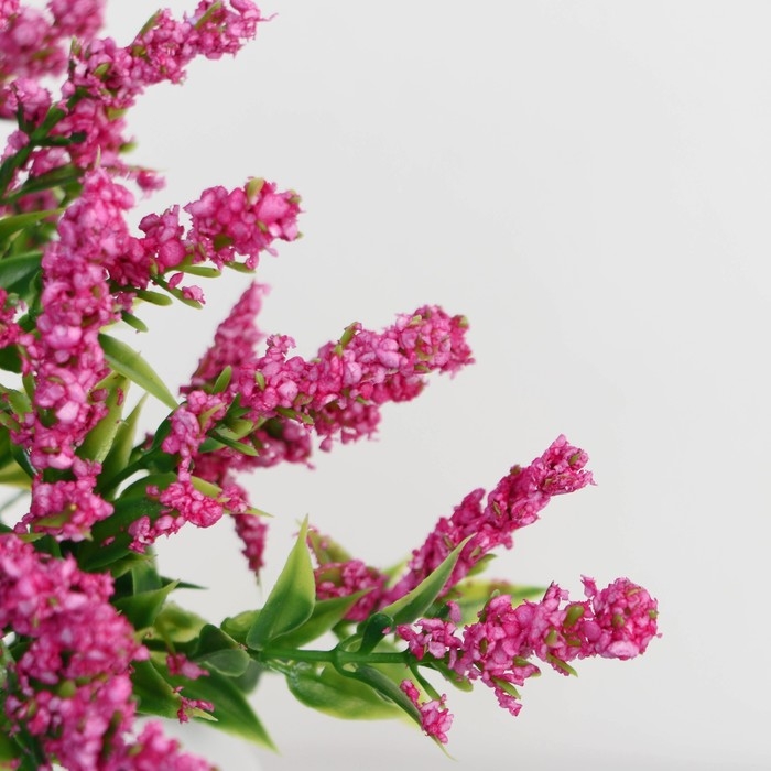 Бонсай в горшке Бонсай в горшке "Шалфей предсказателей" 5,5х11 см, микс