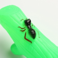 Игрушка пищащая "Веточка", 24 см, зелёная Игрушка пищащая "Веточка", 24 см, зелёная